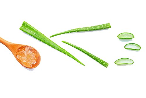 美安-UltimateAloe 美安-UltimateAloe